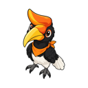 Rhinoceros hornbill